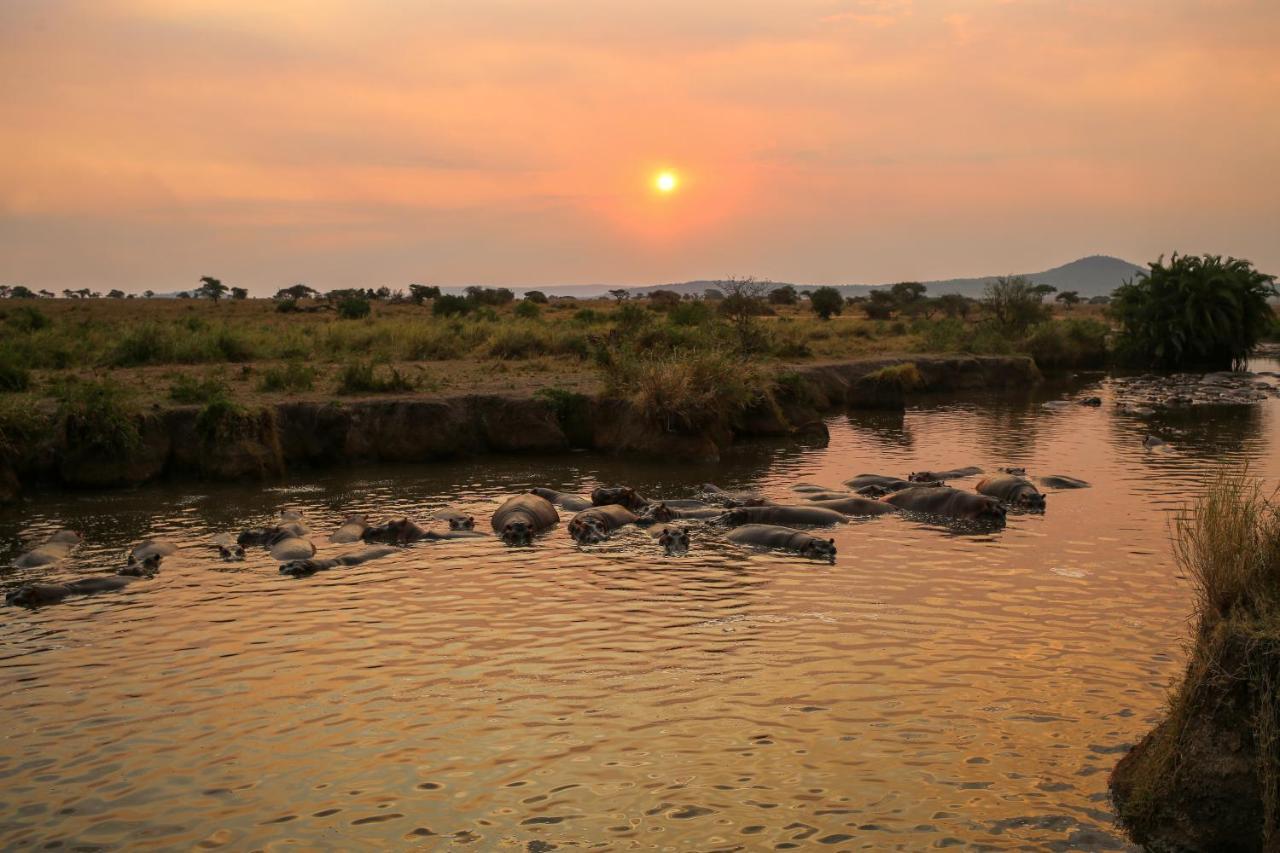 Osero Serengeti Luxury Tented Camp Banagi Экстерьер фото
