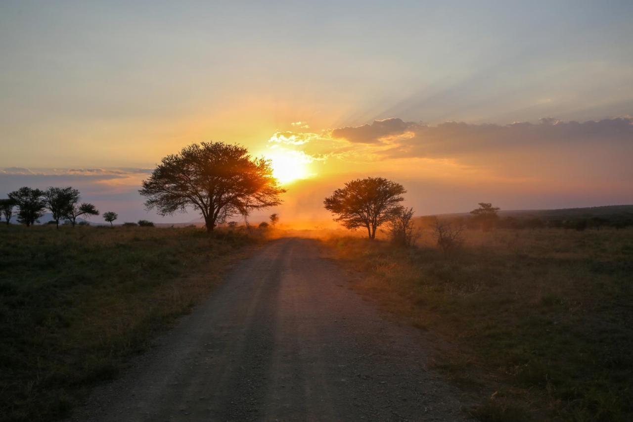 Osero Serengeti Luxury Tented Camp Banagi Экстерьер фото